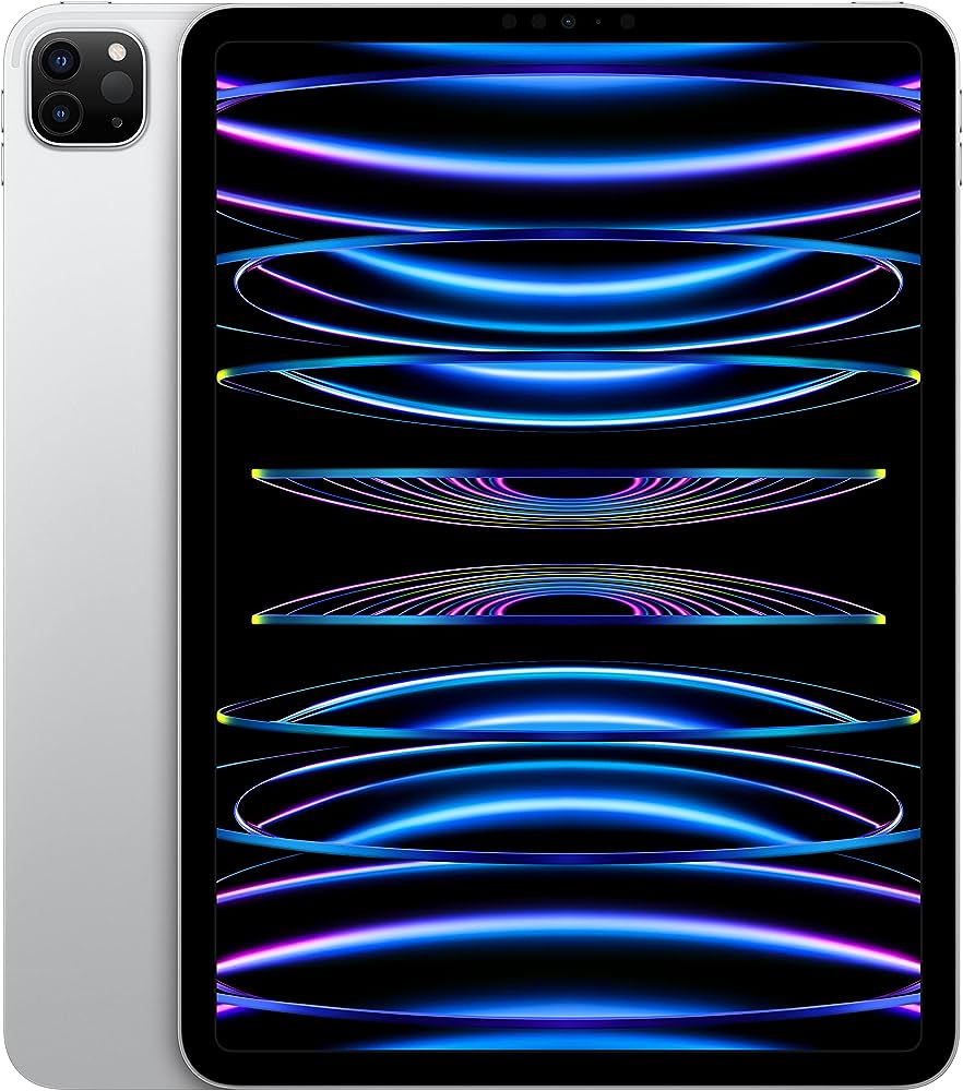 iPad Pro 2022 11¨ (4 Gen)